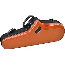 81+LN-P9N9L._AC_UL210_SR210,